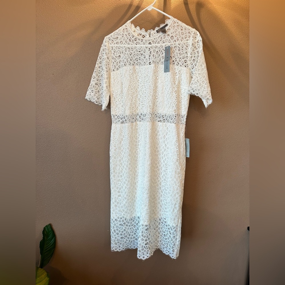 Lace Sheer Panel Knee Length Dress
BY DESIGN